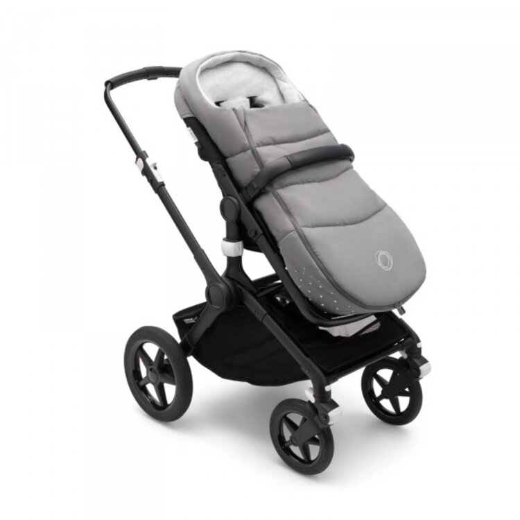 Bugaboo Mineral Bugaboo