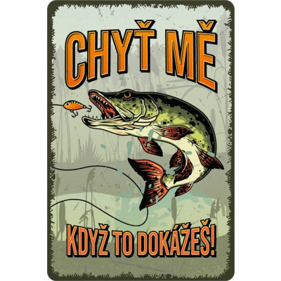 Plechová cedule - Chyť mě Postershop Postershop